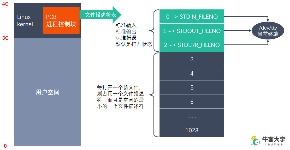 image-20230526153950771